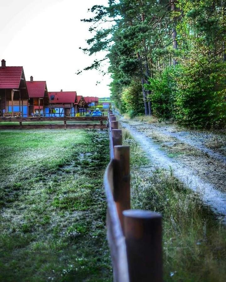 Вилла Lesna Ostoja Borowy Mlyn Экстерьер фото